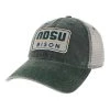Legacy Athletic North Dakota State Bison Dashboard Hat Green