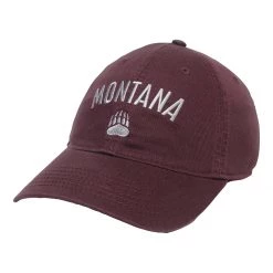 Legacy Athletic Montana Grizzlies Reason Hat Black