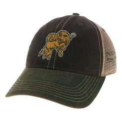 Legacy Athletic North Dakota State Bison BSA Snorty Hat Green