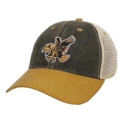 Legacy Athletic Iowa Hawkeyes BSA Hat Black