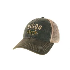 Legacy Athletic Kids' North Dakota State Bison Old Favorite Ira Hat Green