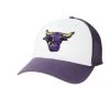 Legacy Athletic Minnesota State Mavericks Low Row Hat White/purple
