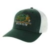 Legacy Athletic North Dakota State Bison Bigs Hat Green/white