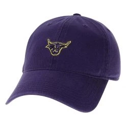 Legacy Athletic Women's Minnesota State Mavericks Mini Champ Hat Black